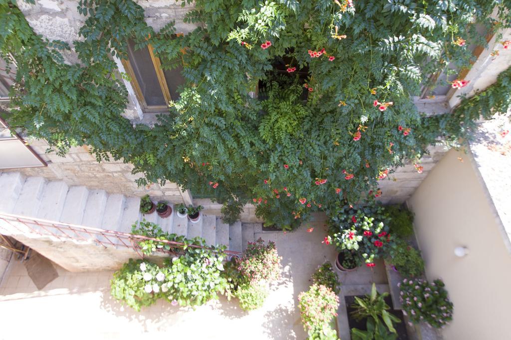 Sobe Andreis Hotel Vela Luka Exterior photo